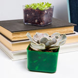 3" Crystal Clear Succulent Pot