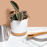 11.5" Contemporary Flower Pot with Saucer - Designer White