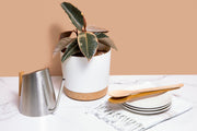 8" Contemporary Flower Pot with Saucer - Designer White