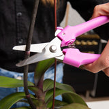 Pro Snips with Stem Notch