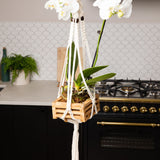 Deluxe Hand Woven Triple Macrame Hanger - Rose Quartz