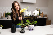 6" Cream Over Lavender Floral Cutout Orchid Pot
