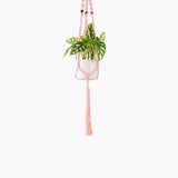 Deluxe Hand Woven Macrame Hanger with Beads - Rose Quartz
