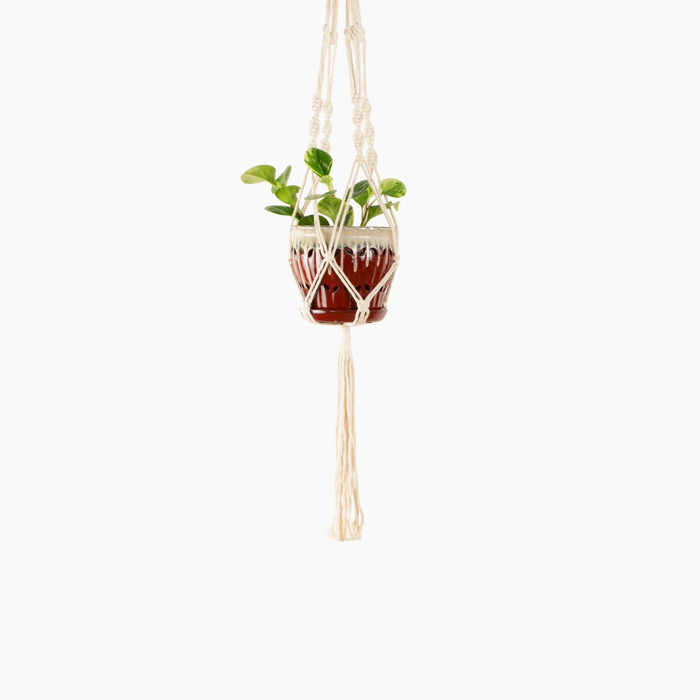 macrame plant hanger for sale Deluxe Hand Woven Single Macrame Hanger