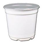 5" Taller Gloss White Flower Pot