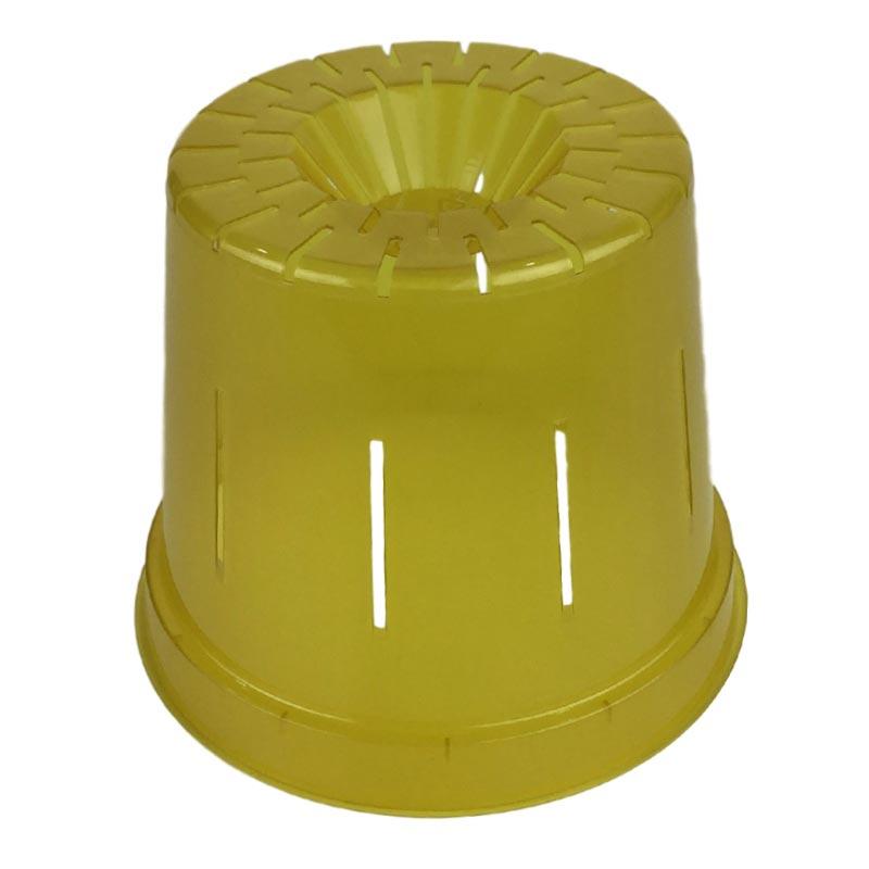 Yellow Topaz Slotted Violet Pot - Slot-Pots
