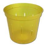 Yellow Topaz Slotted Violet Pot - 6 Inch - Slot-Pots
